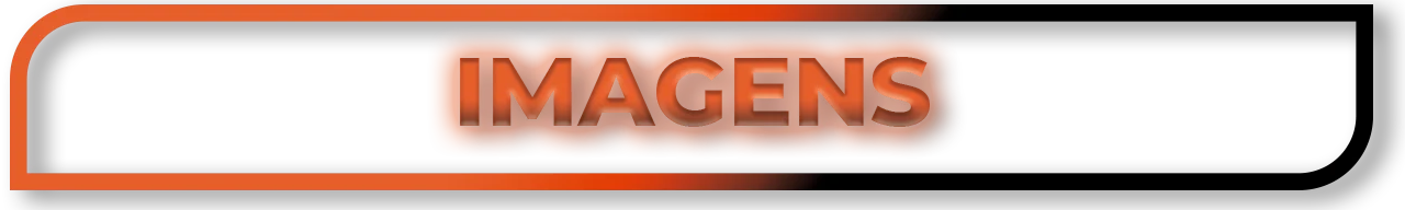 COIBEU Socket Wall Inputs Usb Charger Universal Device RAPID SHIP